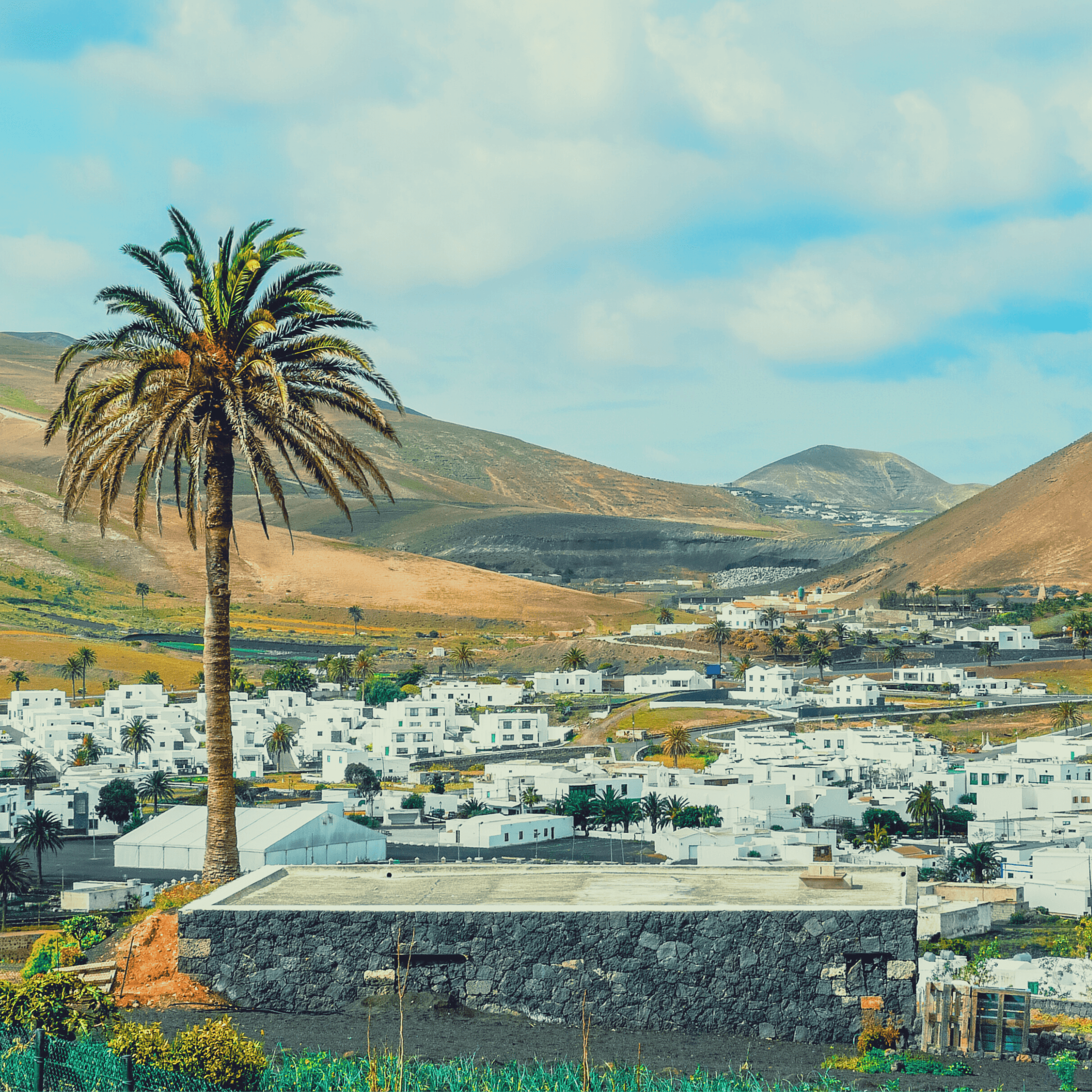 Dance Trip Lanzarote (Dance Travels)